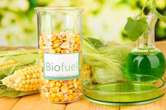 Tacolneston biofuel availability