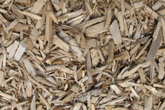 biomass boilers Tacolneston